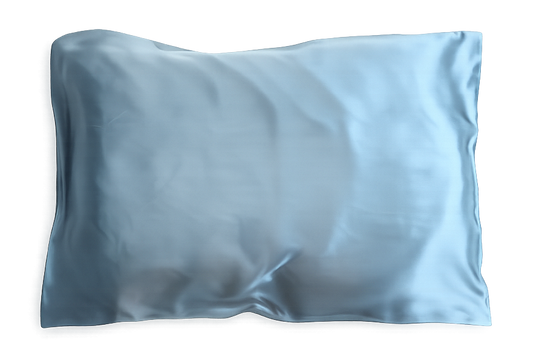 Silk Envelope Pillowcase - 100% Mulberry 19-Momme Silk